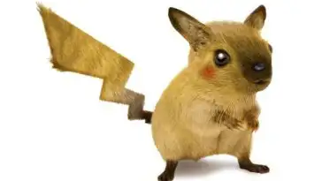Pokémon : à l’origine Pikachu était un écureuil