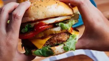 Une étude scientifique explique pourquoi on préfère les Burgers aux salades