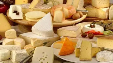 Ce parc à thème est dédié au fromage