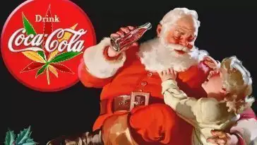 Coca-Cola : bientôt des boissons à base de cannabis