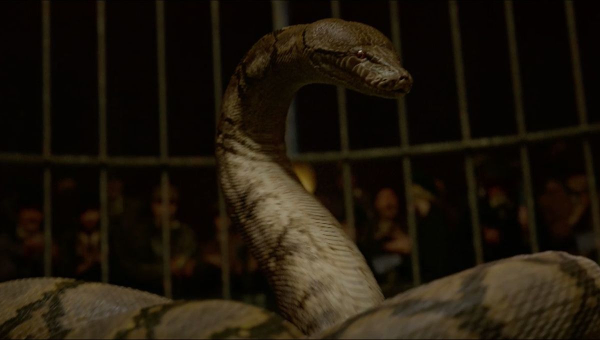 Les Animaux Fantastiques 2 : Une énorme rumeur se confirme dans le nouveau trailer #2