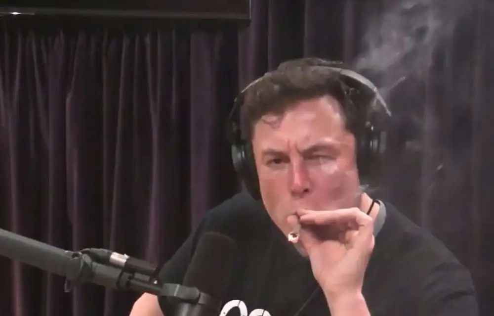 Elon Musk fume un joint en direct et fait dégringoler l’action Tesla