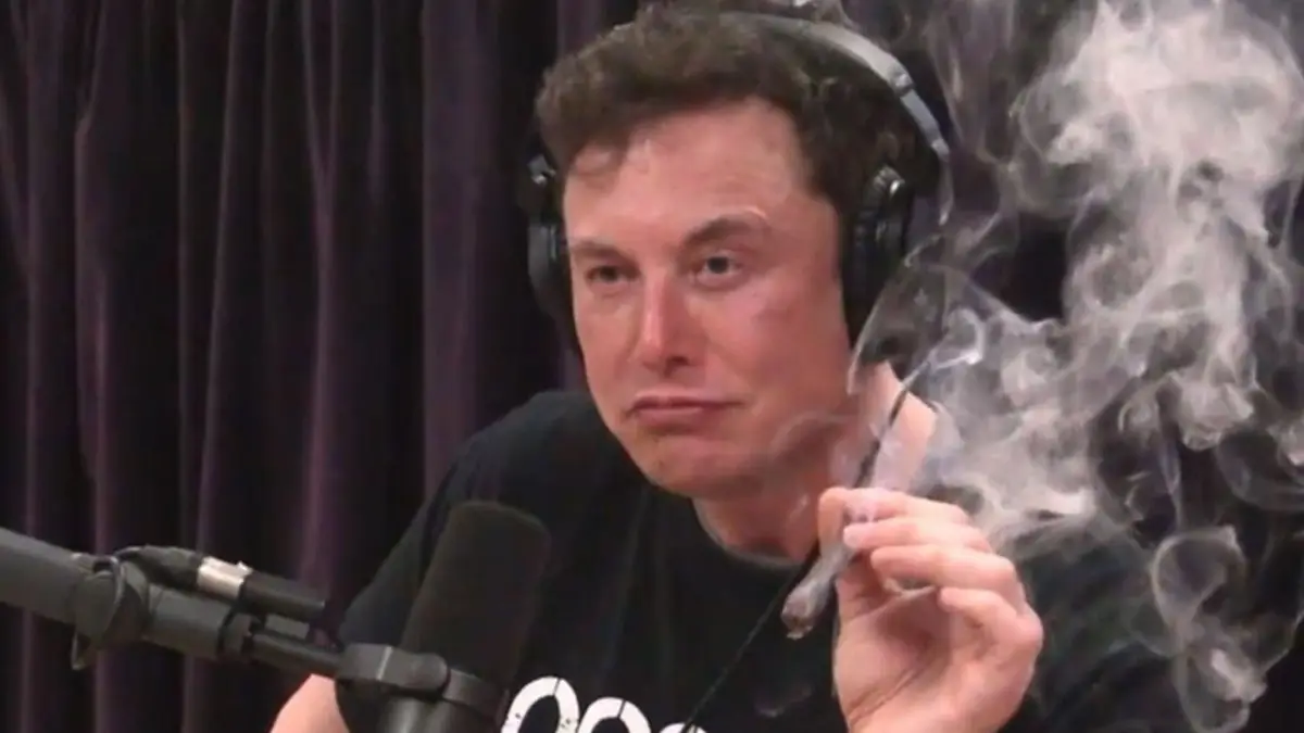 Elon Musk fume un joint en direct et fait dégringoler l’action Tesla