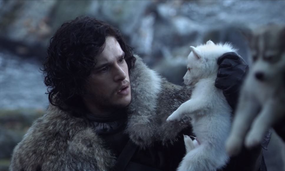 Game Of Thrones : Sophie Turner pense que la fin de la série divisera les fans #3