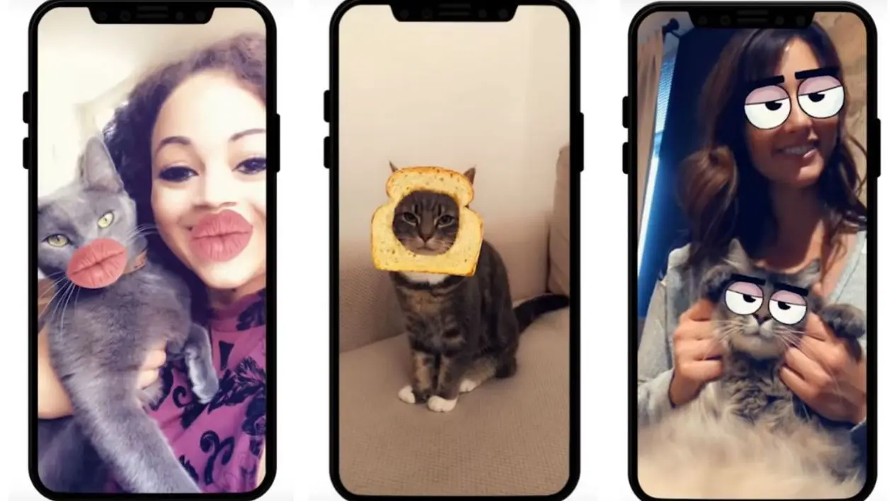 Snapchat lance des filtres spécialement pour les chats