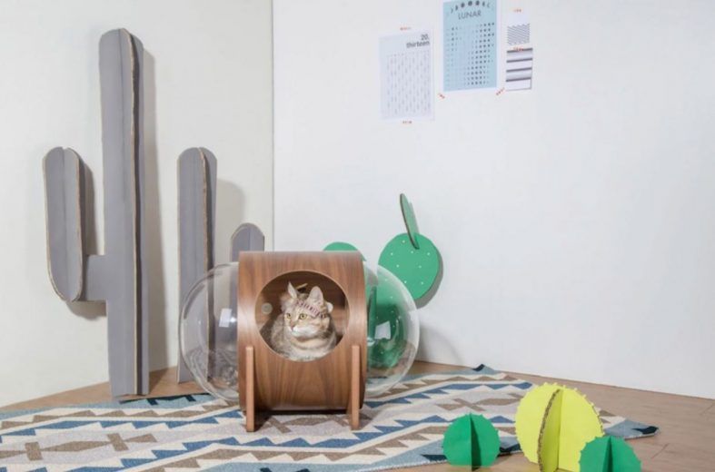 Spaceship : la niche pour chat avec hublot #9