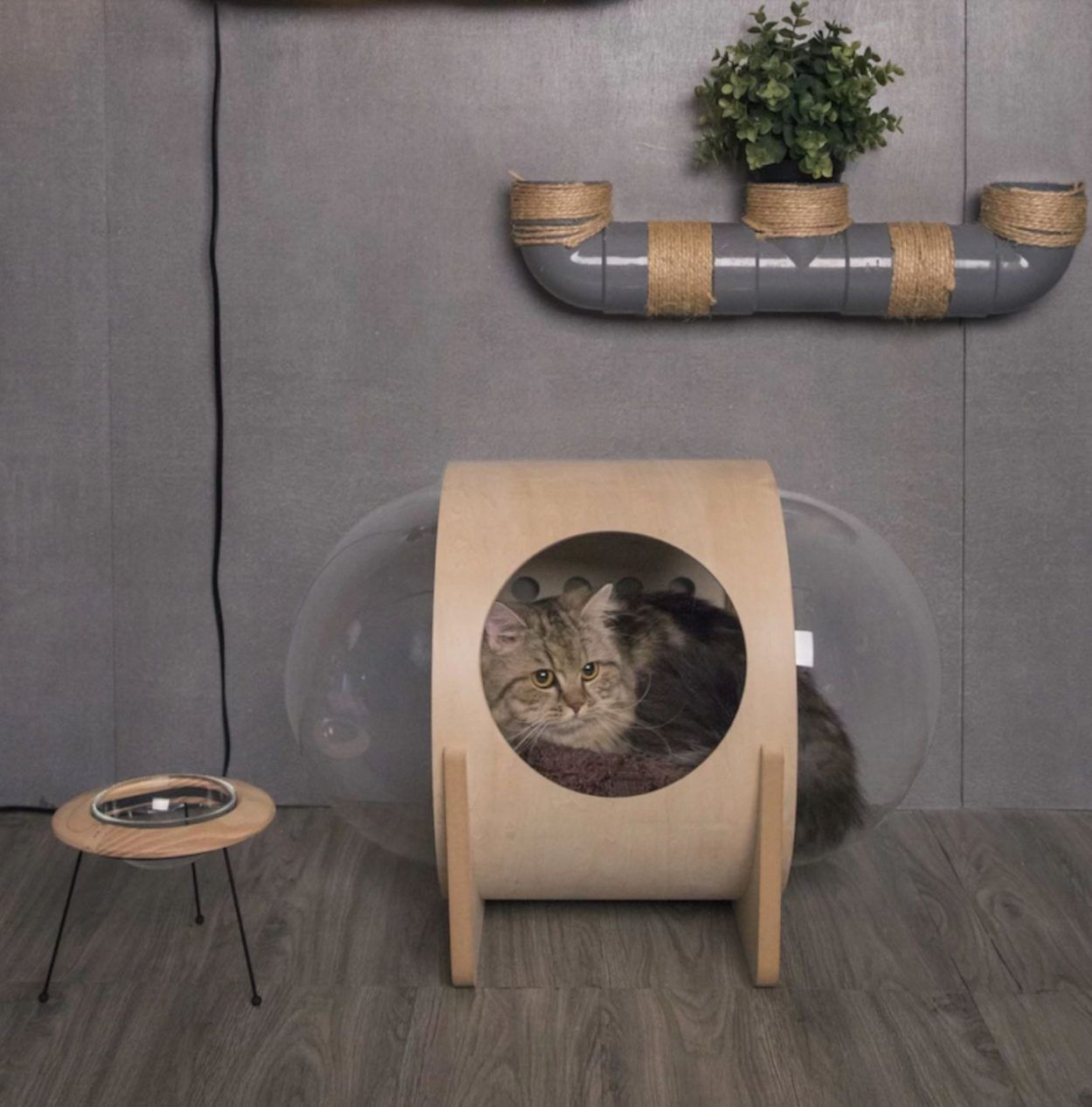 Spaceship : la niche pour chat avec hublot #16