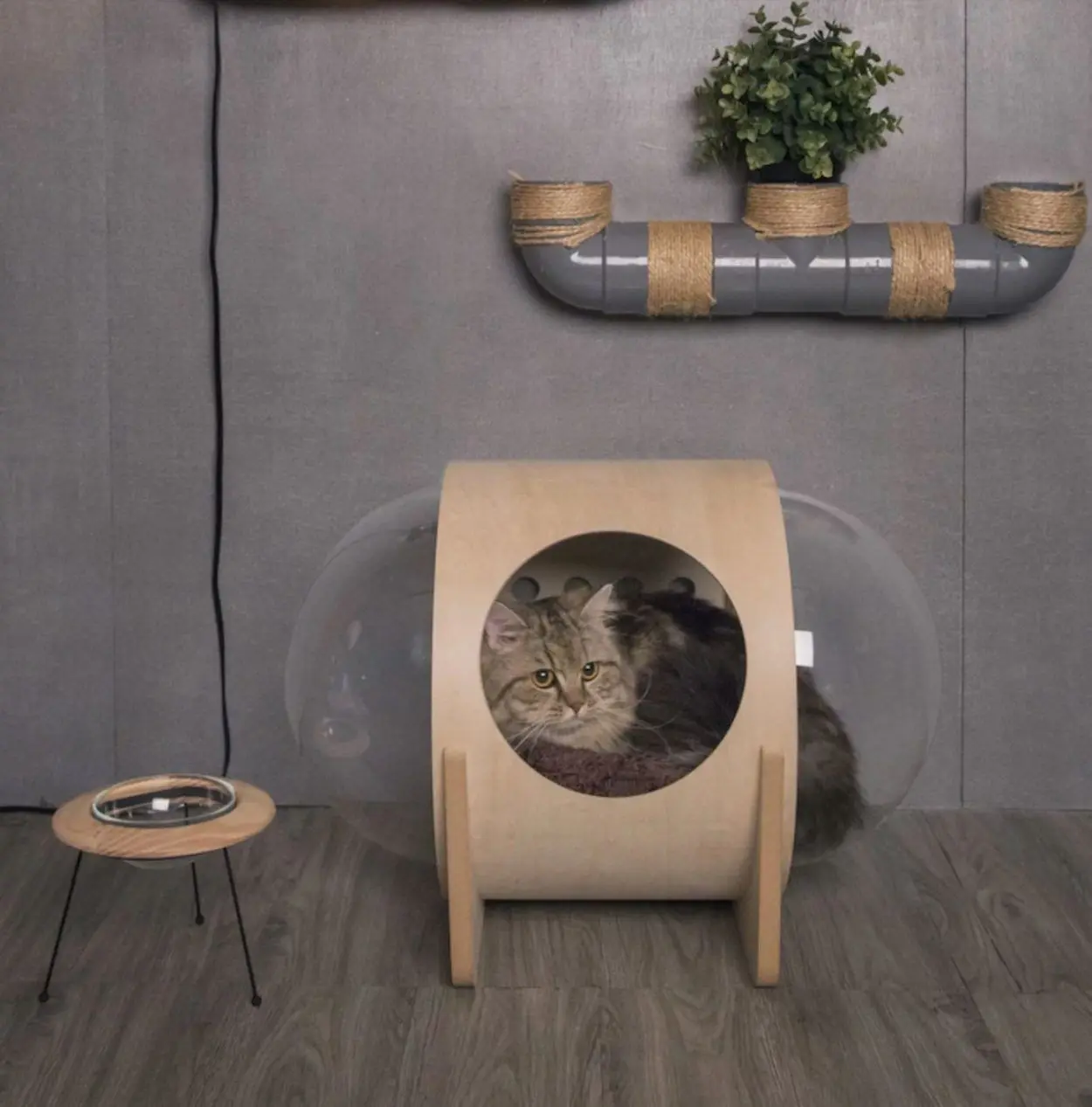 Spaceship : la niche pour chat avec hublot #16