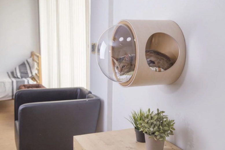 Spaceship : la niche pour chat avec hublot #20