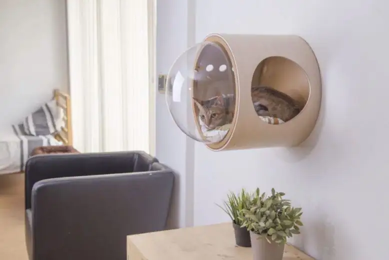 Spaceship : la niche pour chat avec hublot #20