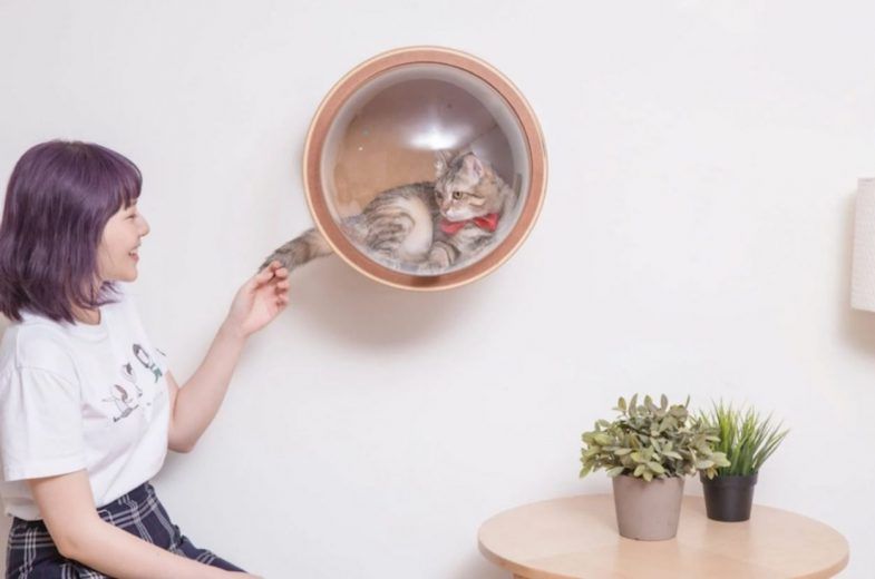 Spaceship : la niche pour chat avec hublot #12