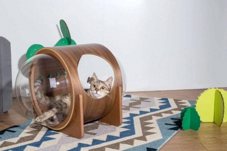 Spaceship : la niche pour chat avec hublot #6