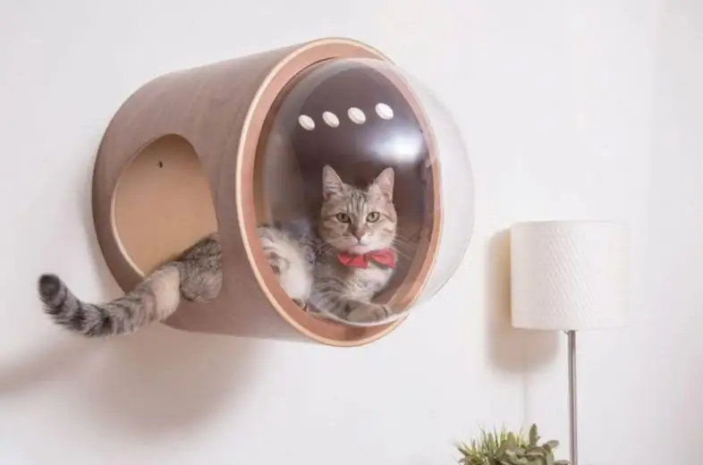 Spaceship : la niche pour chat avec hublot