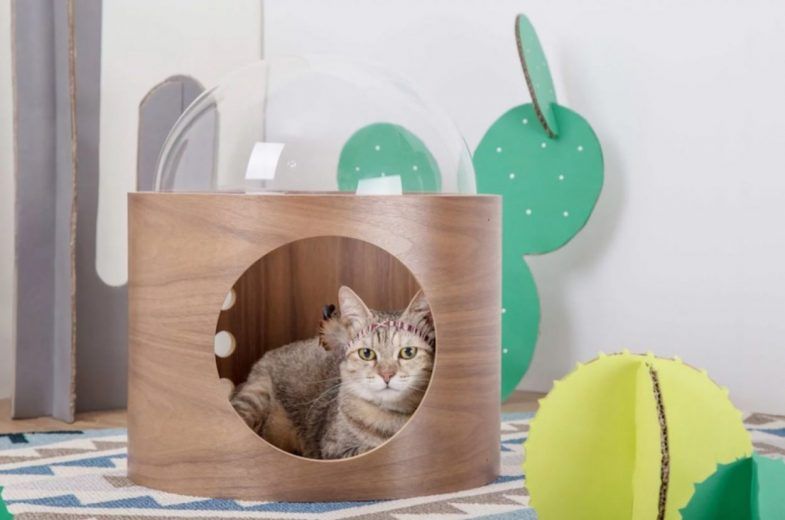 Spaceship : la niche pour chat avec hublot #23