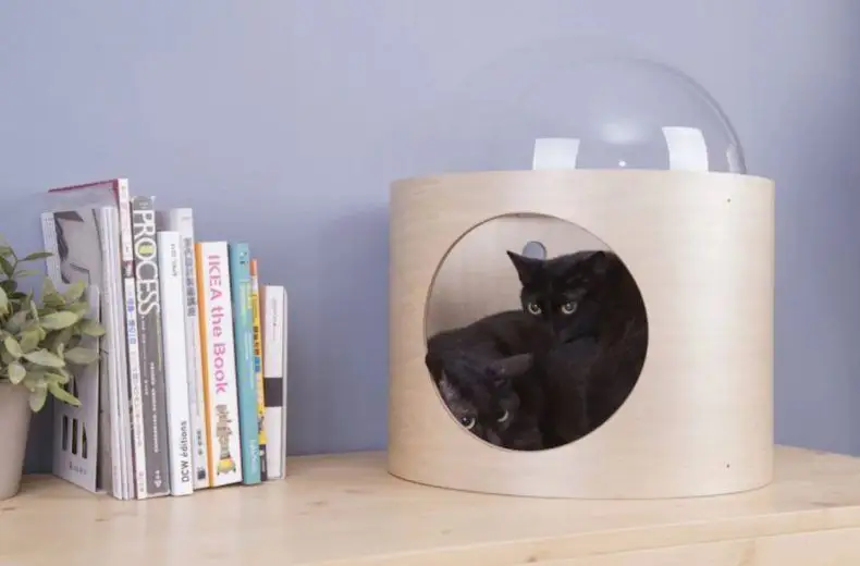 Spaceship : la niche pour chat avec hublot #14