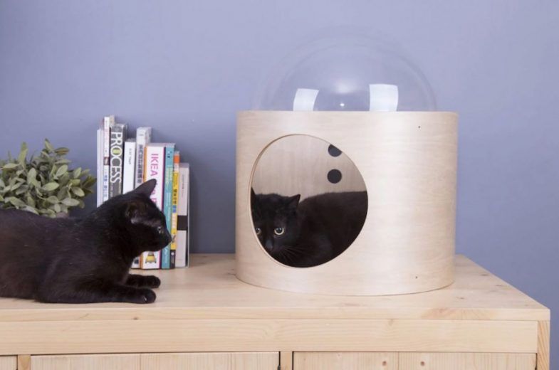 Spaceship : la niche pour chat avec hublot #13