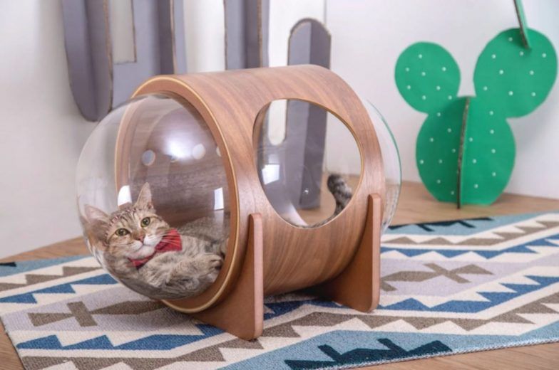 Spaceship : la niche pour chat avec hublot #7