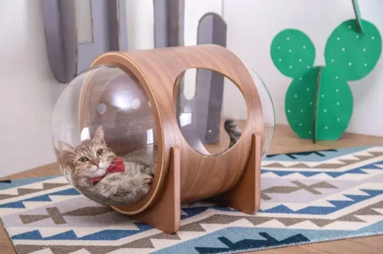 Spaceship : la niche pour chat avec hublot #7