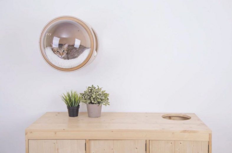 Spaceship : la niche pour chat avec hublot #21