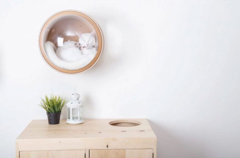 Spaceship : la niche pour chat avec hublot #19