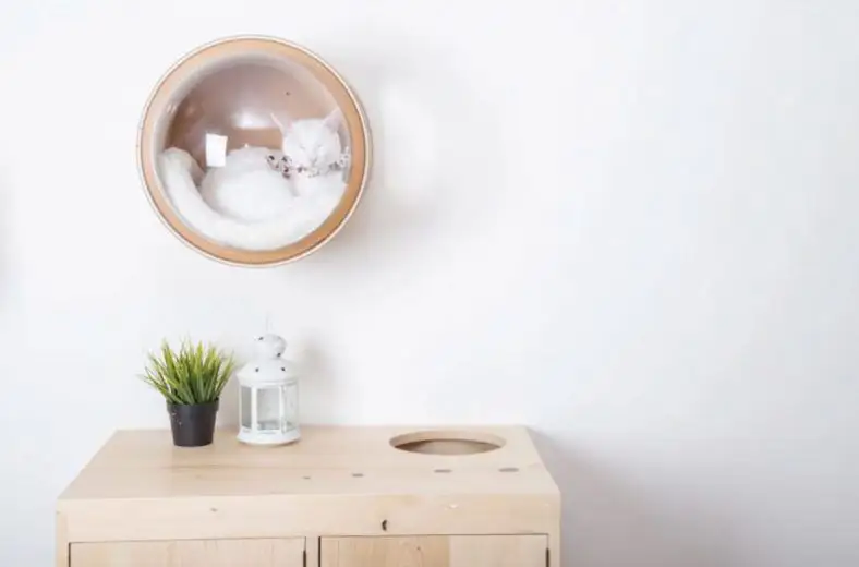 Spaceship : la niche pour chat avec hublot #19