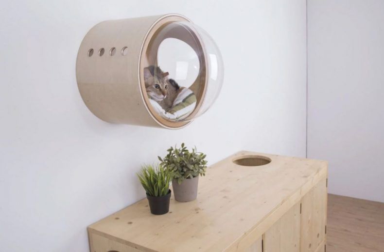 Spaceship : la niche pour chat avec hublot #22