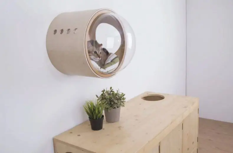 Spaceship : la niche pour chat avec hublot #22