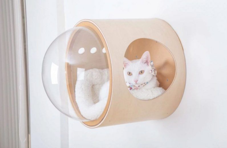 Spaceship : la niche pour chat avec hublot #18