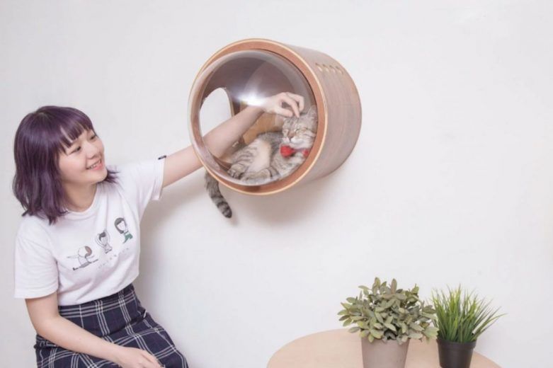 Spaceship : la niche pour chat avec hublot #11
