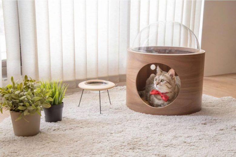 Spaceship : la niche pour chat avec hublot #5