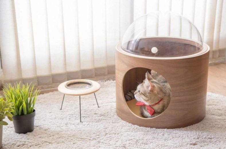 Spaceship : la niche pour chat avec hublot #4