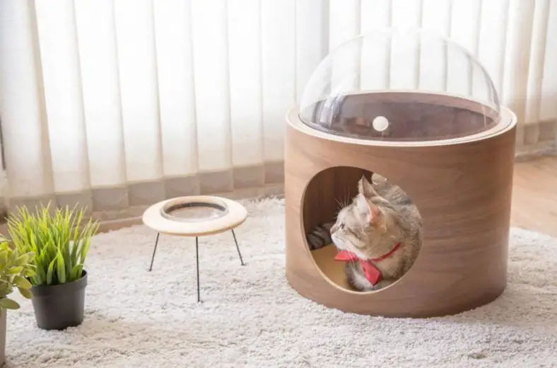 Spaceship : la niche pour chat avec hublot #4