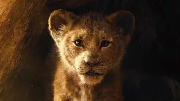 Le Roi Lion : bande annonce VO et VF du remake
