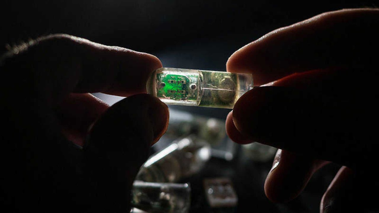 Cette pilule pour l’estomac imprimée en 3D se contrôle avec un smartphone #2
