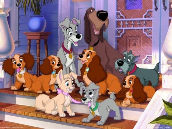 La Belle et le Clochard : de vrais chiens pour le live-action #2