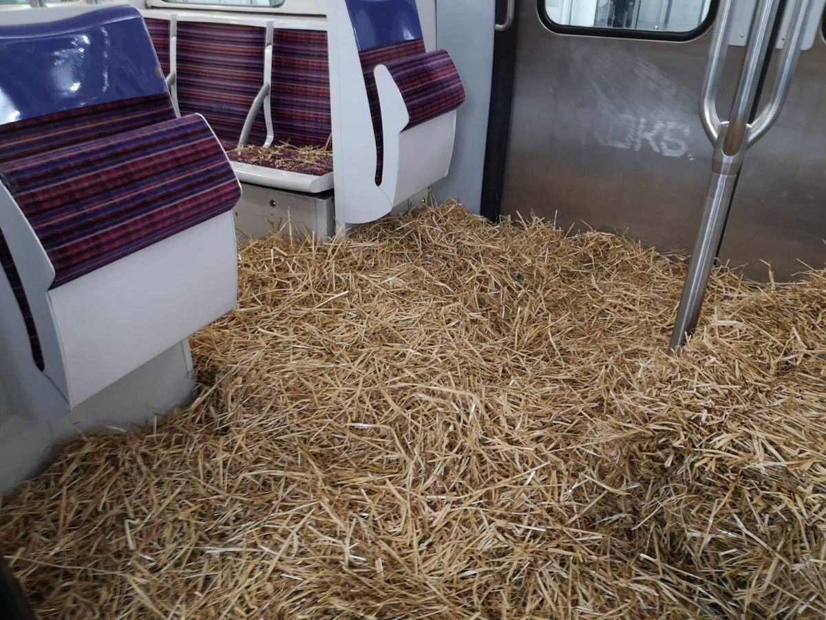 Paris : une rame de la ligne 13 transformée en bétaillère pour dénoncer les conditions de transport #7