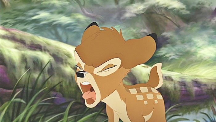 Un chasseur condamné à regarder Bambi une fois par mois