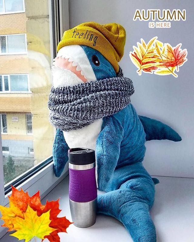 BLÅHAJ : l’adorable requin en peluche IKEA fait le buzz #25