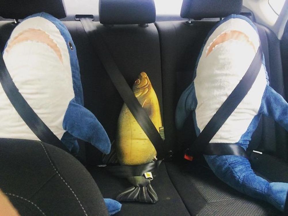 BLÅHAJ : l’adorable requin en peluche IKEA fait le buzz #5