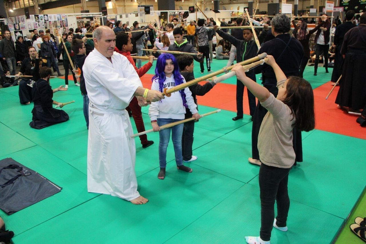 La Japan Expo Sud fêtera sa 10ème édition du 22 au 24 février 2019 #5