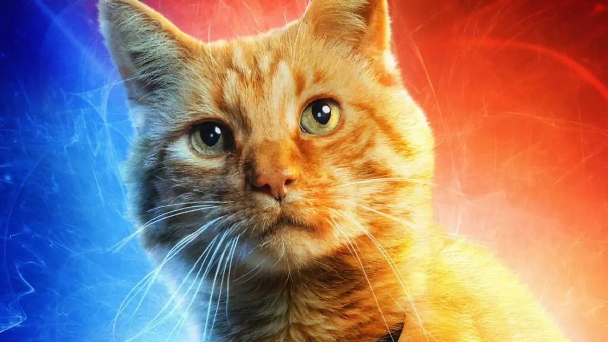 Captain Marvel : Le chat Goose fait l’unanimité lors des premières projections