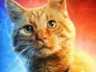 Captain Marvel : Le chat Goose fait l’unanimité lors des premières projections