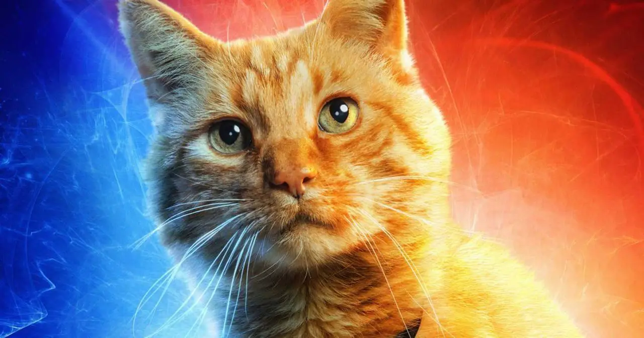 Captain Marvel : Le chat Goose fait l’unanimité lors des premières projections