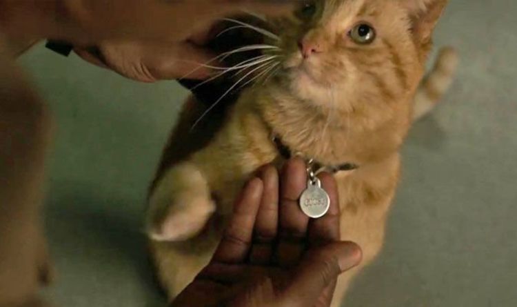 Captain Marvel : explication de la 2ème scène post-générique et pourquoi elle est géniale #4