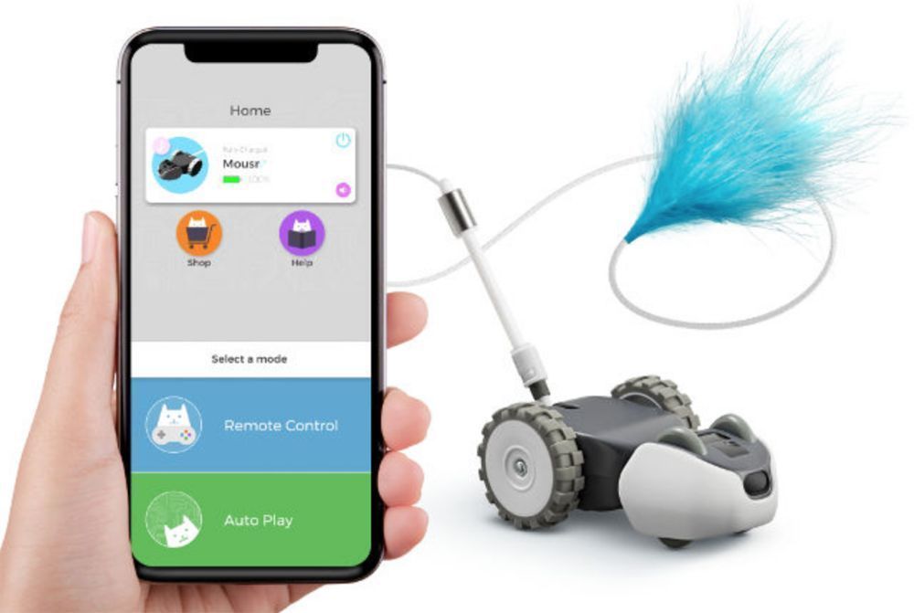 Cette souris connectée jouera avec votre chat quand vous n’êtes pas là