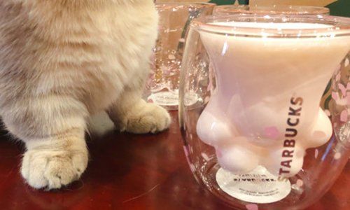 Starbucks va vous faire craquer avec cette tasse en forme de patte de chat #3