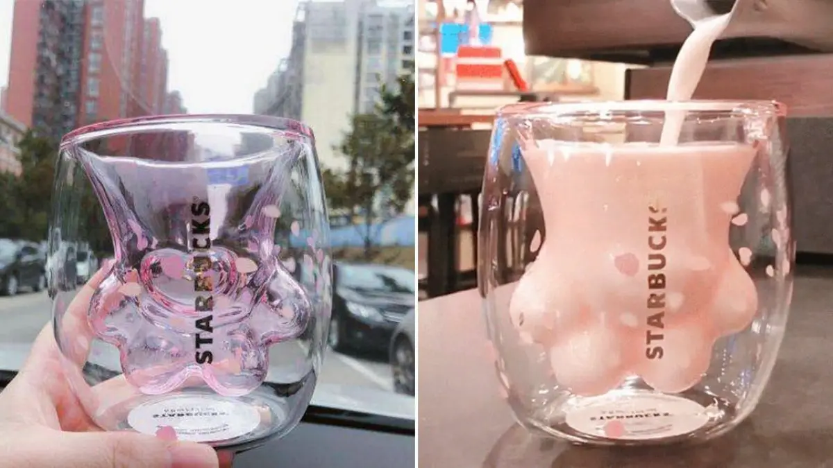 Starbucks va vous faire craquer avec cette tasse en forme de patte de chat