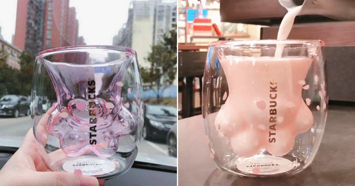 Starbucks va vous faire craquer avec cette tasse en forme de patte de chat
