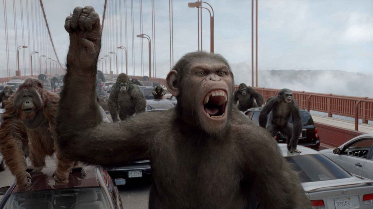 Chine : des scientifiques implantent un gène humain à des singes #2