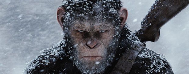 Chine : des scientifiques implantent un gène humain à des singes